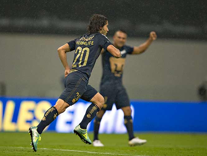 Apertura 2016 Liga MX