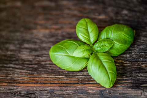 Hojas de Albahaca sobre una mesa