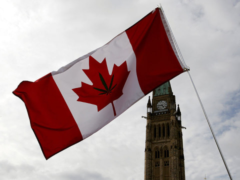 Canadá aprueba el consumo de mariguana con fines recreativos (Foto: Reuters)