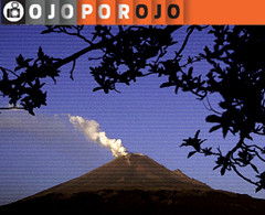 Fotogalería: Vivir con 'Don Goyo'