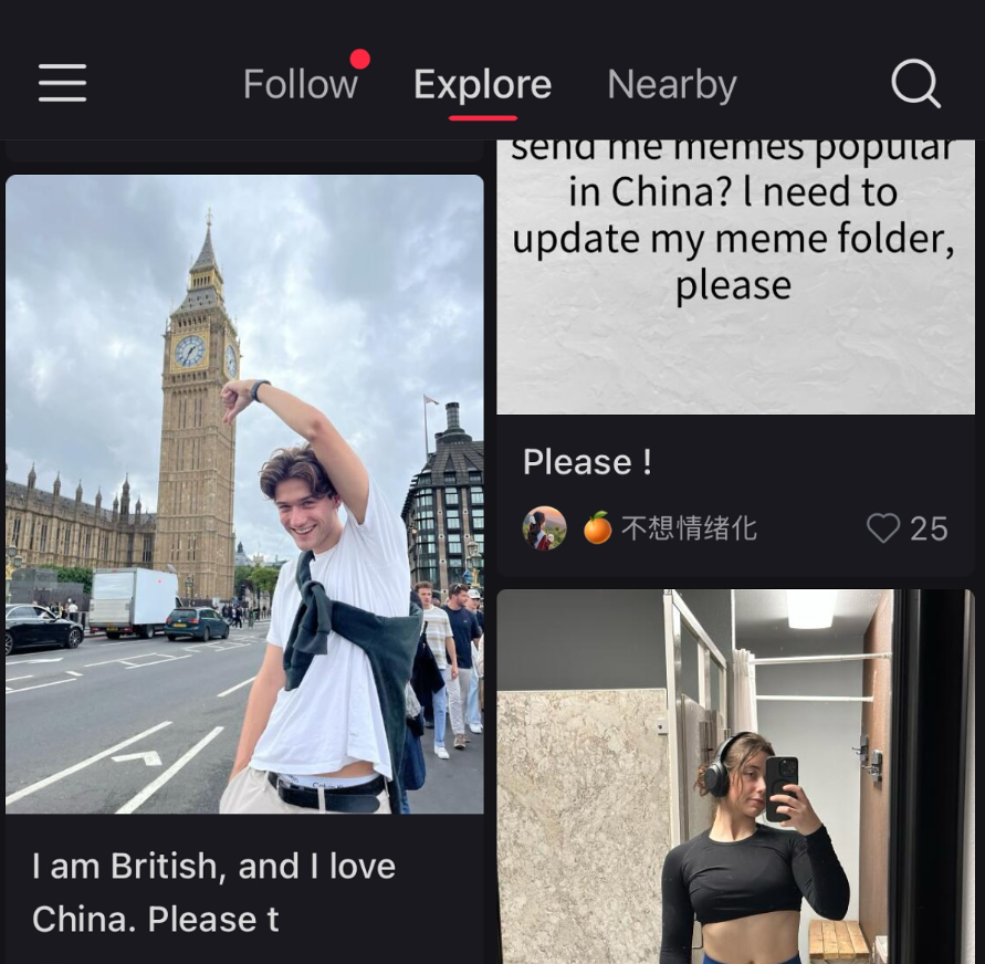 Feed de RedNote/X