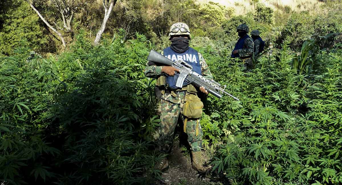 Los cálculos establecen que se hubieran producido 9.875 millones de dosis del opioide, lo que hubiera alcanzado un valor de hasta 49.375 millones de dólares en el mercado ilegal.