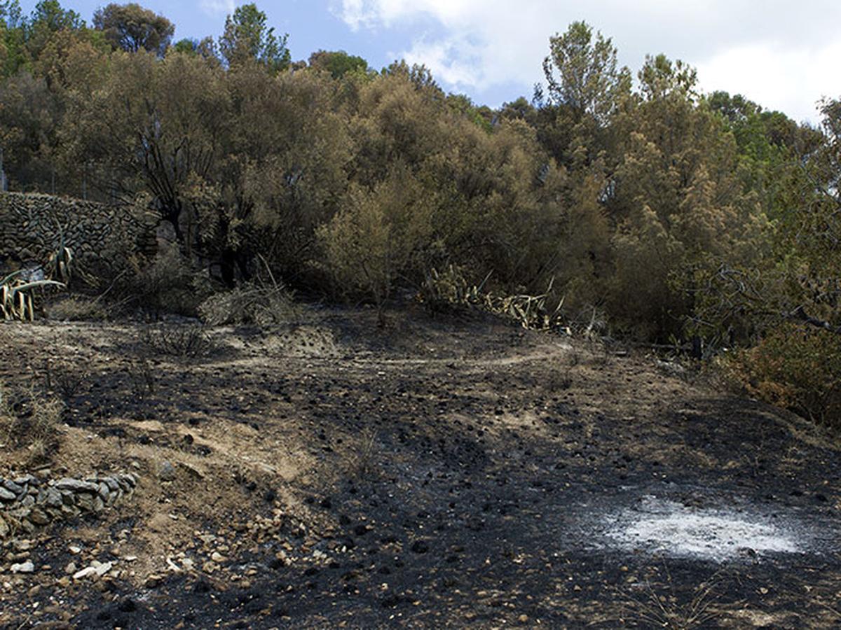 Unos 200 evacuados en centro de España por incendio y persiste el de ...