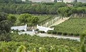 Finca Villacreces, la joya de la Milla de Oro de Ribera del Duero