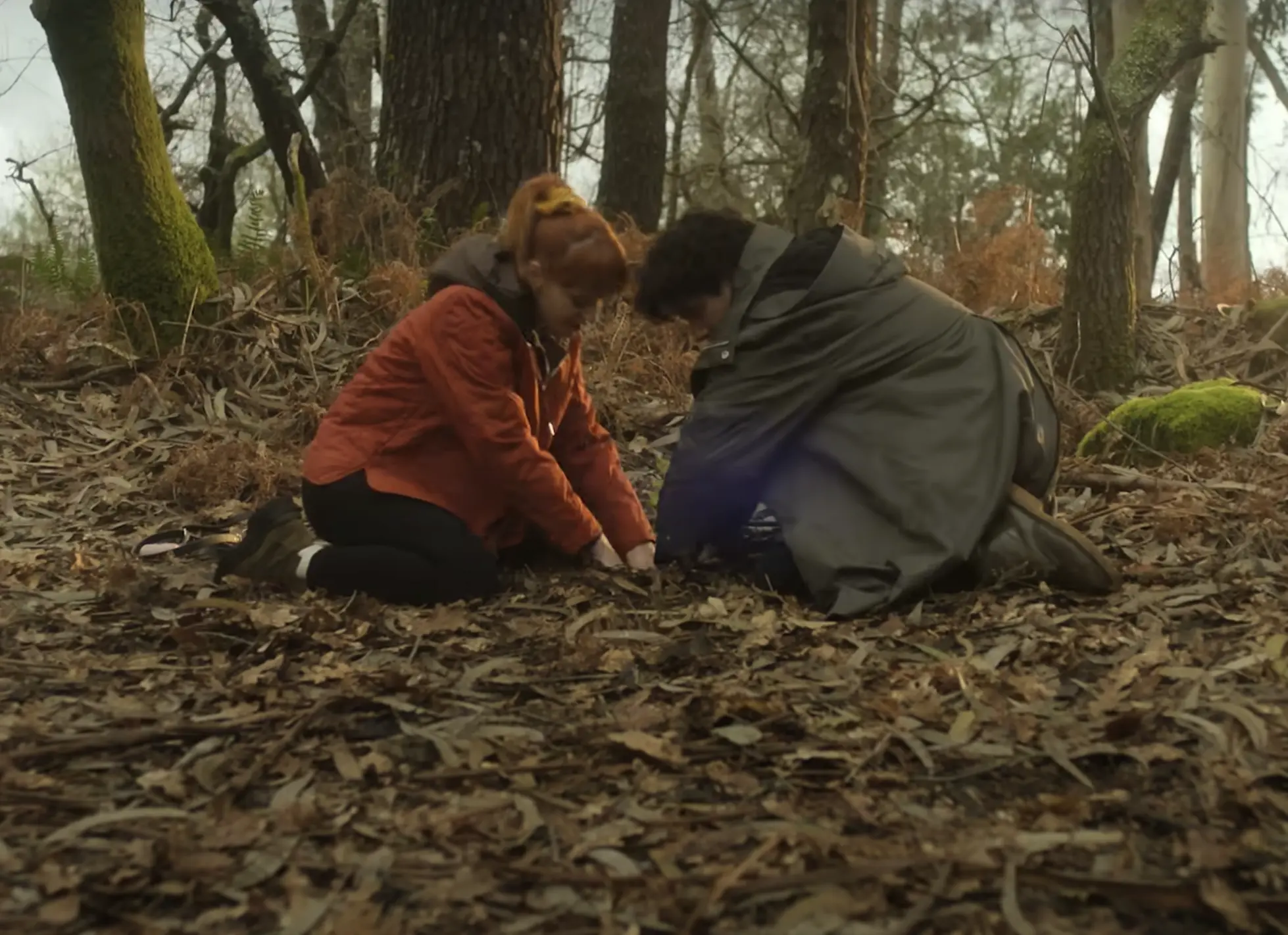El Jardinero: de qué trata la serie de Netflix que ha causado sensación