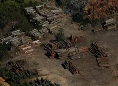 La Amazonia brasileña sufre la peor deforestación en 10 años