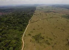 Deforestación en la Amazonía de Brasil crece a ritmo aterrador