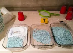 García Harfuch informa: aseguran 8 kg y 266 mil pastillas de fentanilo