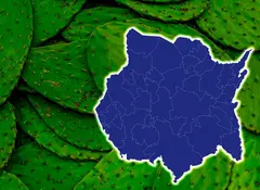 Esta entidad es el Rey del Nopal; exporta a EU, Canadá y Europa