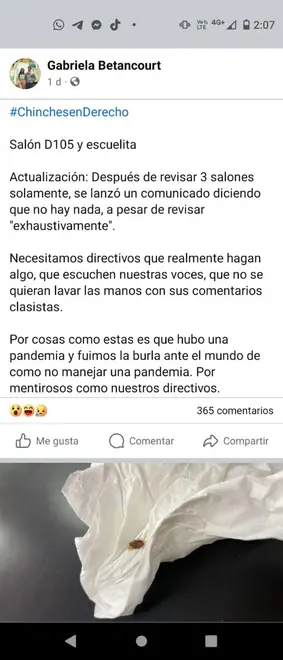 (FOTOS) Alumnos UNAM demuestran plaga de chinches y piquetes