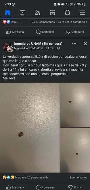 (FOTOS) Alumnos UNAM demuestran plaga de chinches y piquetes
