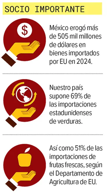 Imagen intermedia