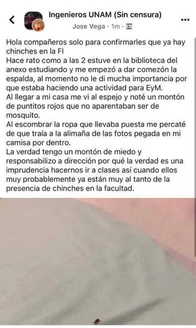 (FOTOS) Alumnos UNAM demuestran plaga de chinches y piquetes