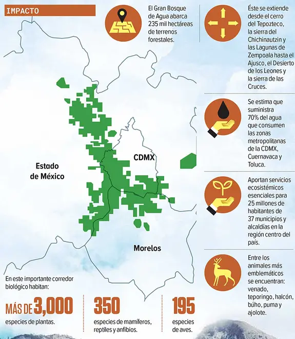 Imagen intermedia