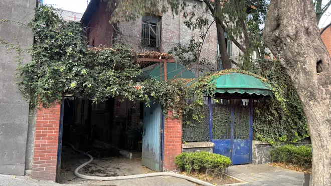 Incendio en casa de la colonia Roma de la CDMX deja dos gatitos muertos