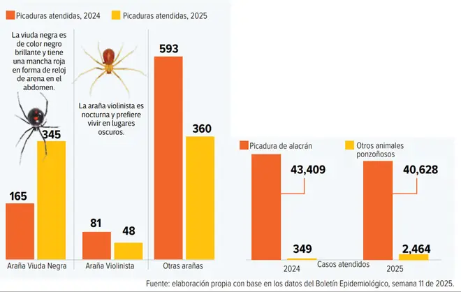 Altas temperaturas y sequía aumentan casos de picaduras de insectos