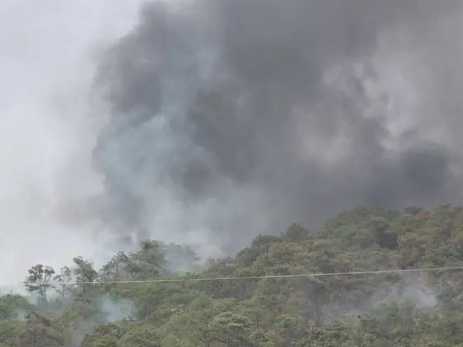 Impactantes imágenes del incendio en la sierra de Oaxaca