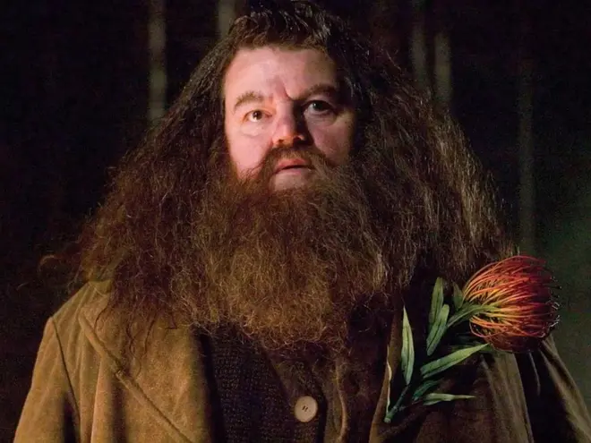 Primer vistazo de Nick Frost como Hagrid en la serie de Harry Potter – DDT