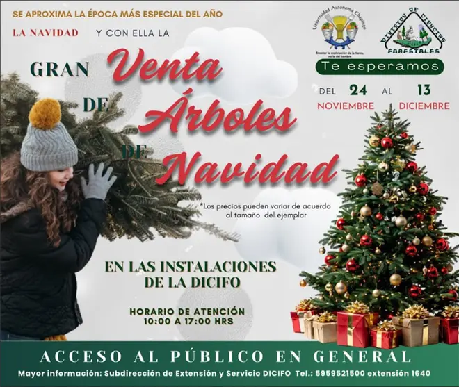 Imagen intermedia