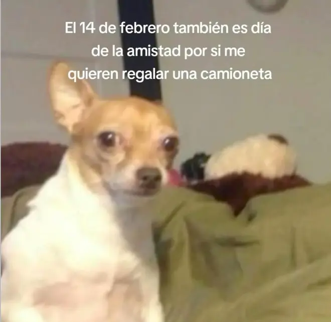 amor memes