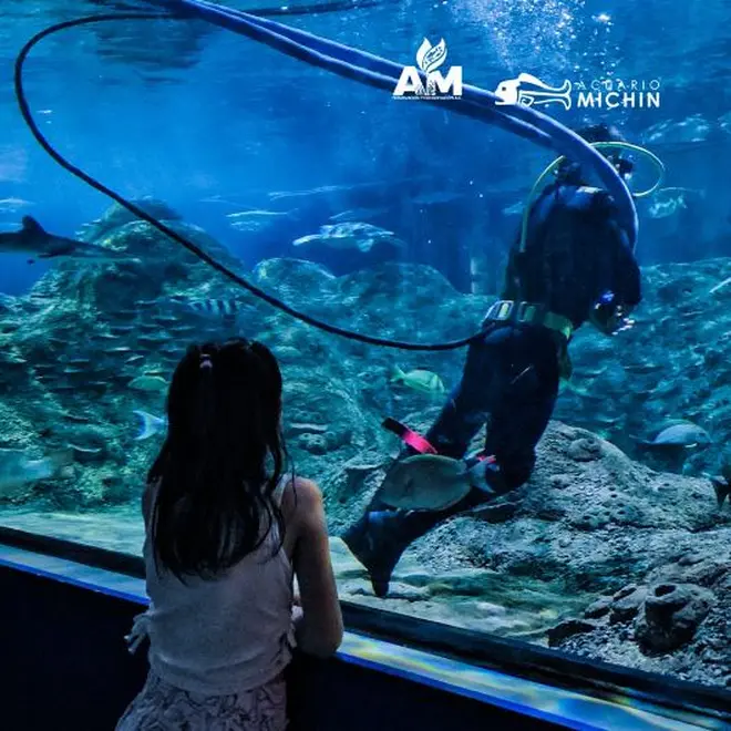 Acuario Michin de CDMX abre sus puertas a niñas y niños portadores de VIH
