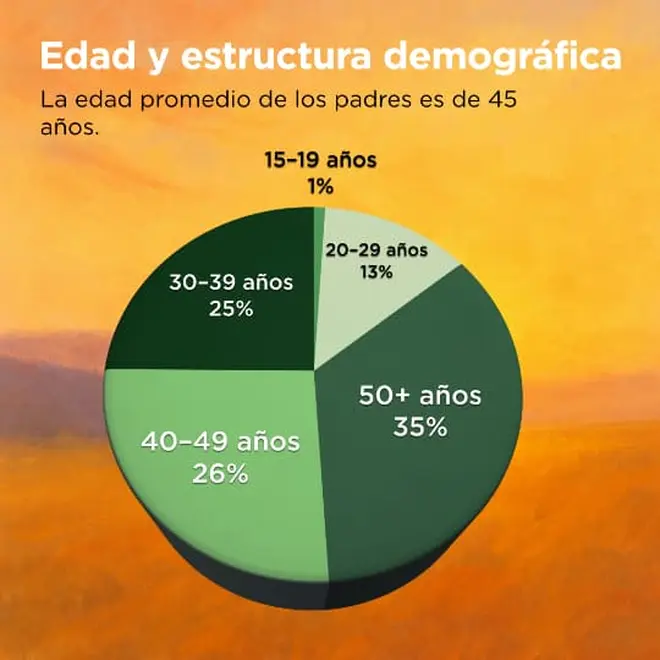 Imagen intermedia