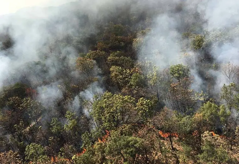 Mantienen 11 municipios en Jalisco emergencia atmosférica por incendios ...