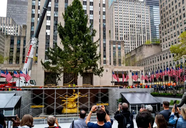 Arriba el árbol de Navidad del Rockefeller Center de Nueva York