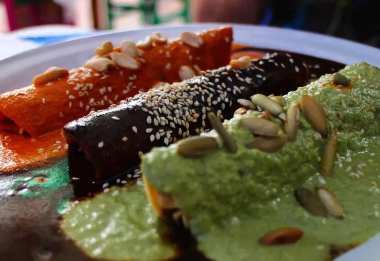 ¿Cuántos tipos de mole existen en México? Todo lo que debes saber sobre ...