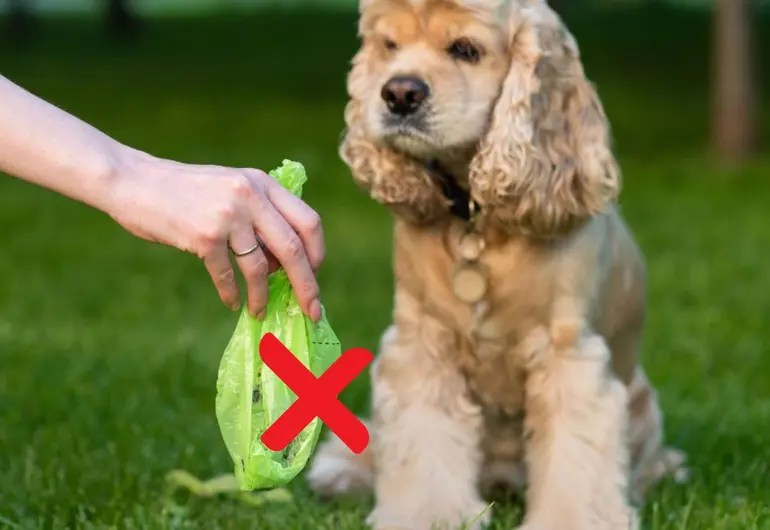 puedes tirar caca de perro a la basura
