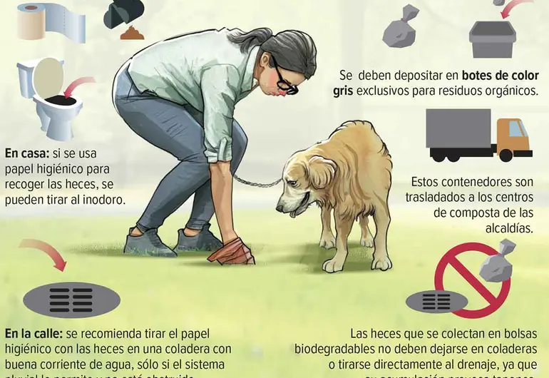 puedes tirar caca de perro a la basura
