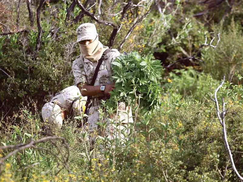 ACCIÓN. La Sedena apoyó  en labores de protección del territorio en 2015-2016 con 122 mil 46 elementos. Foto: EFE/Archivo