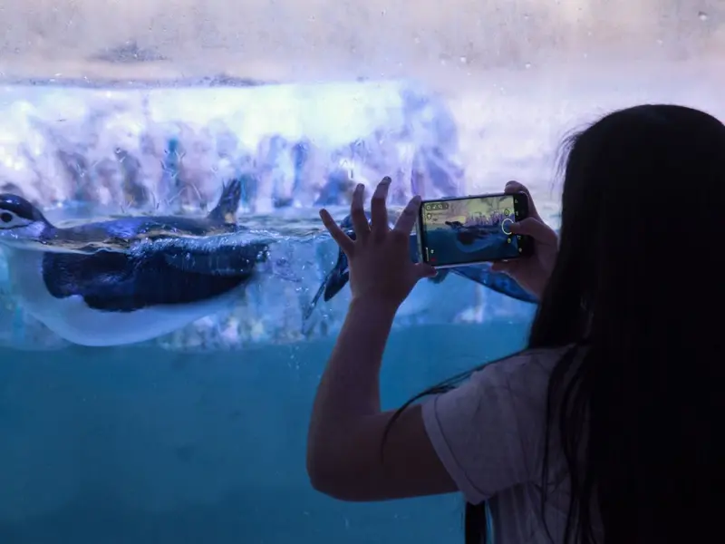 Acuario Parque Tepeyac de CDMX, será el más grande de América Latina ...