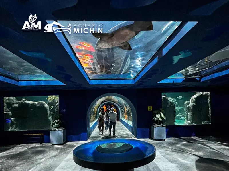 Acuario Michin de CDMX abre sus puertas a niñas y niños portadores de VIH