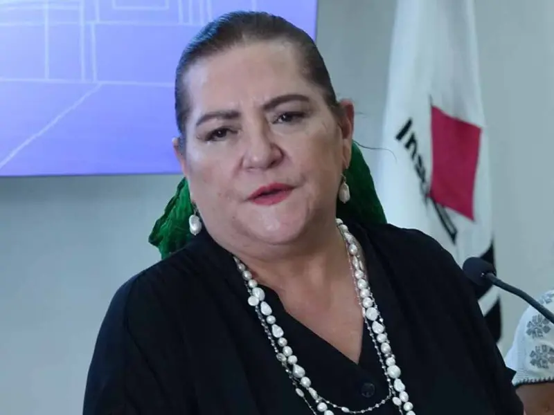 oea-mision-observacion-electoral-mexico-elecciones
