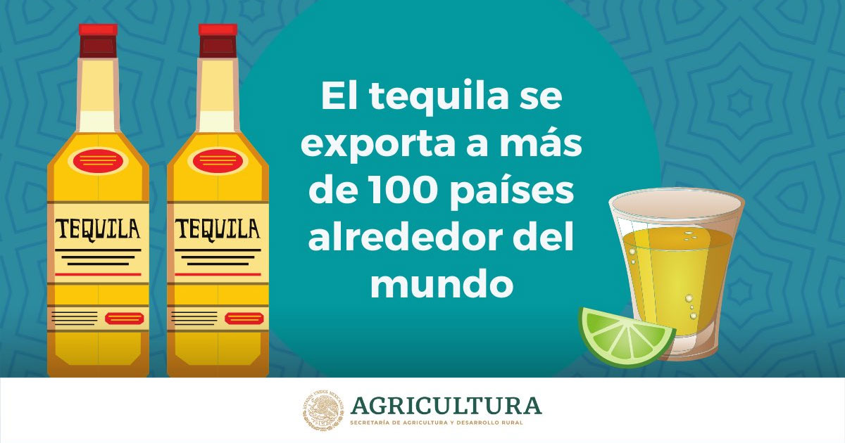 Raicilla, bacanora, tejuino, pulque… ¿Cuáles son las bebidas