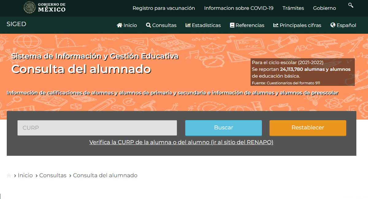 ¿Cómo descargar la boleta de calificaciones de la SEP en línea?