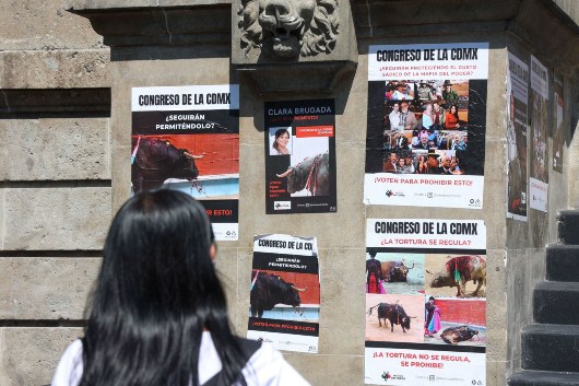 Lo que se sabe de la prohibición de corridas de toros en CDMX