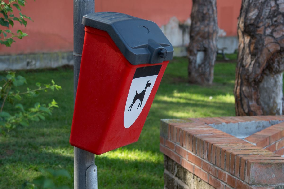 puedes tirar caca de perro a la basura