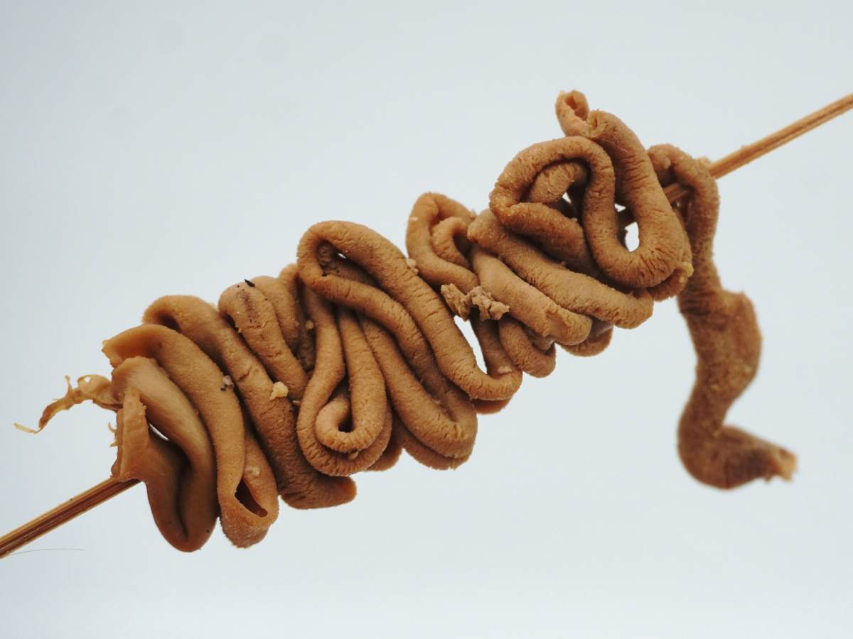 Diferencia entre tripa y machitos - Travelnow.wiki
