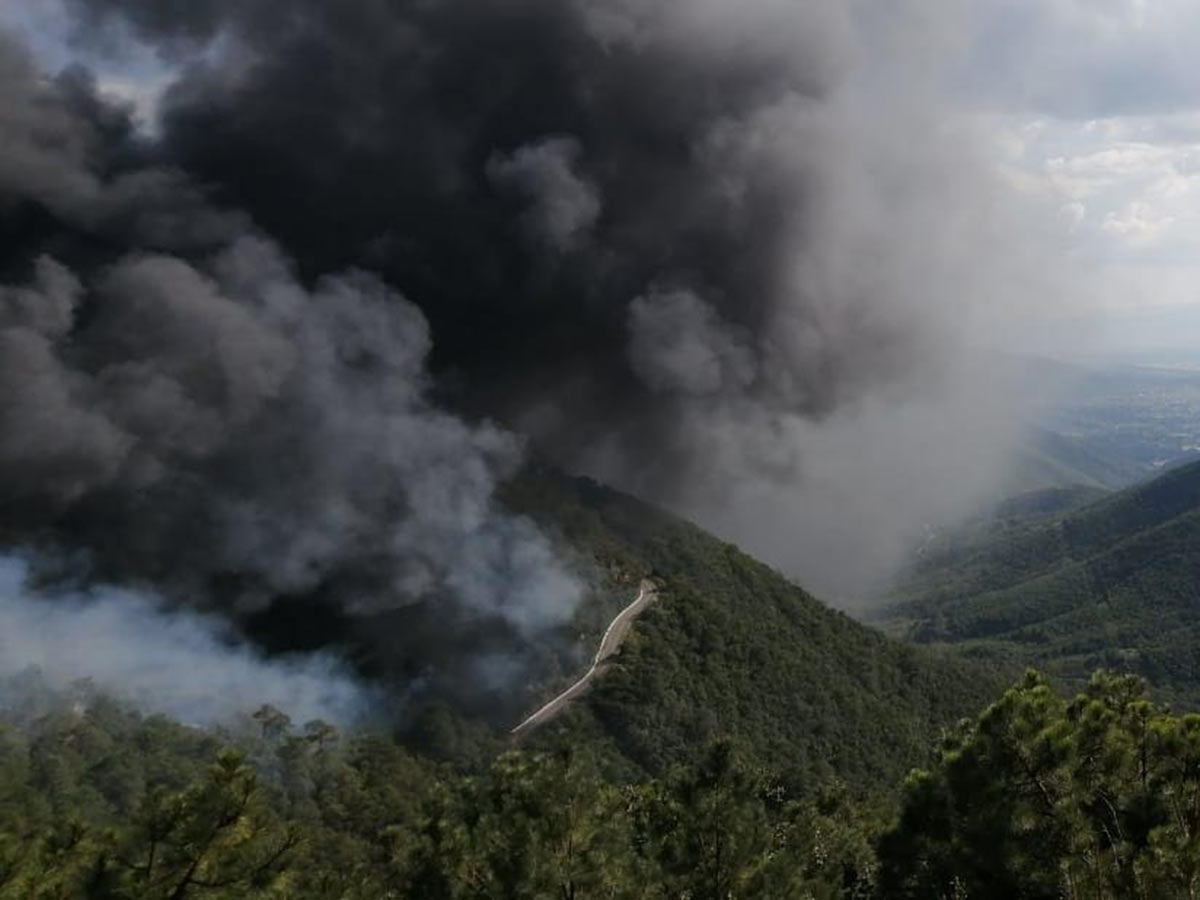 Impactantes imágenes del incendio en la sierra de Oaxaca