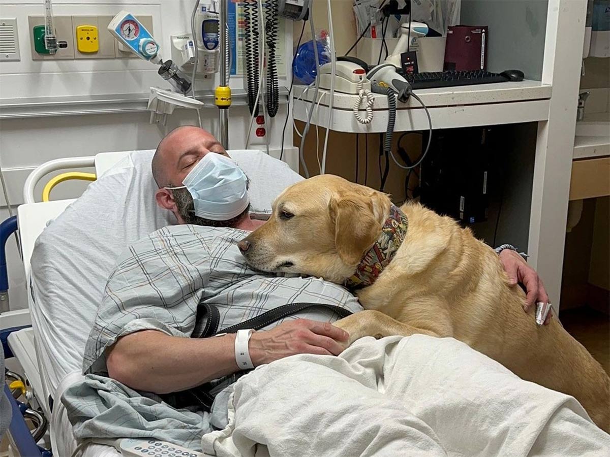 Perrito cuida a su amo en el hospital; no lo deja solo y hasta duermen  juntos