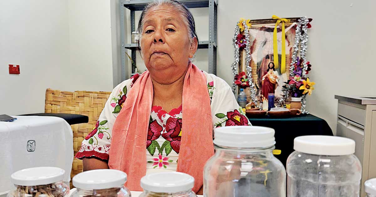 Matuz Healers: Traditional Medicine & Indigenous Day
