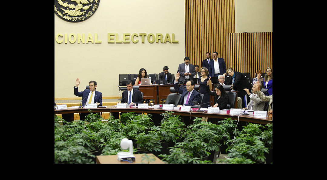 INE llama a respetar reglas y resultados de las elecciones