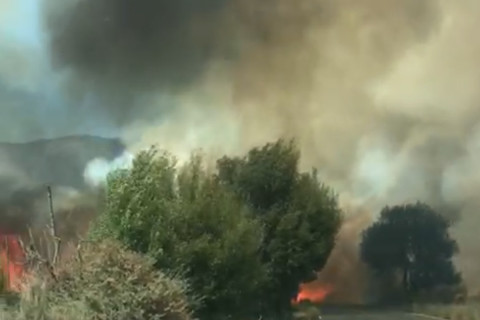 Reportan fuerte incendio en Arteaga, Coahuila. Foto: Especial